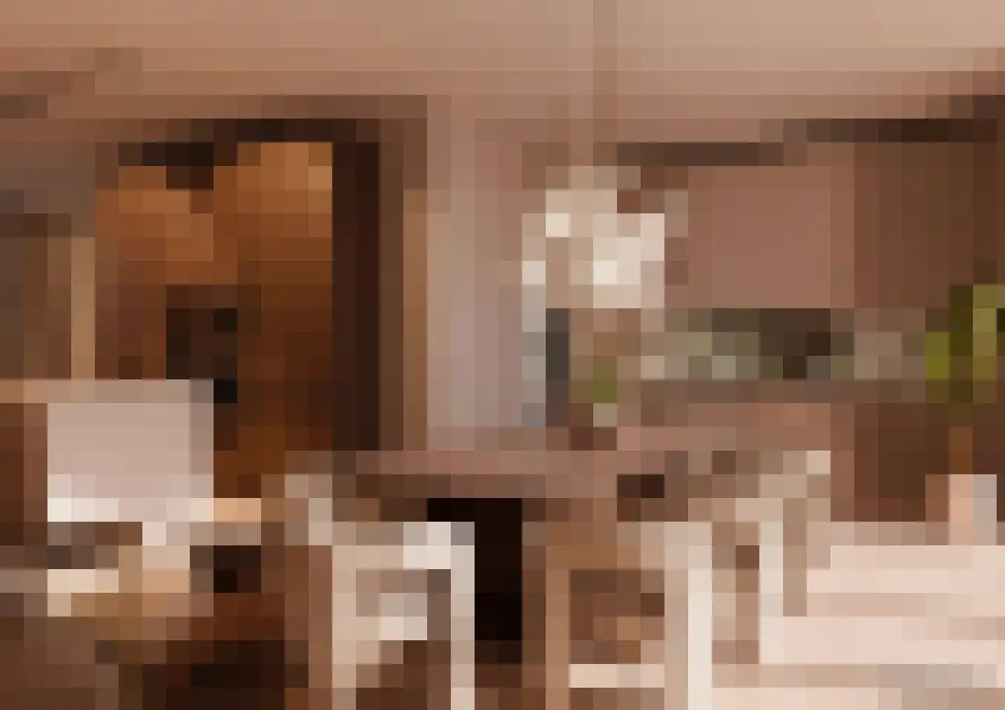 Limes 60 Huissen thumbnail 4