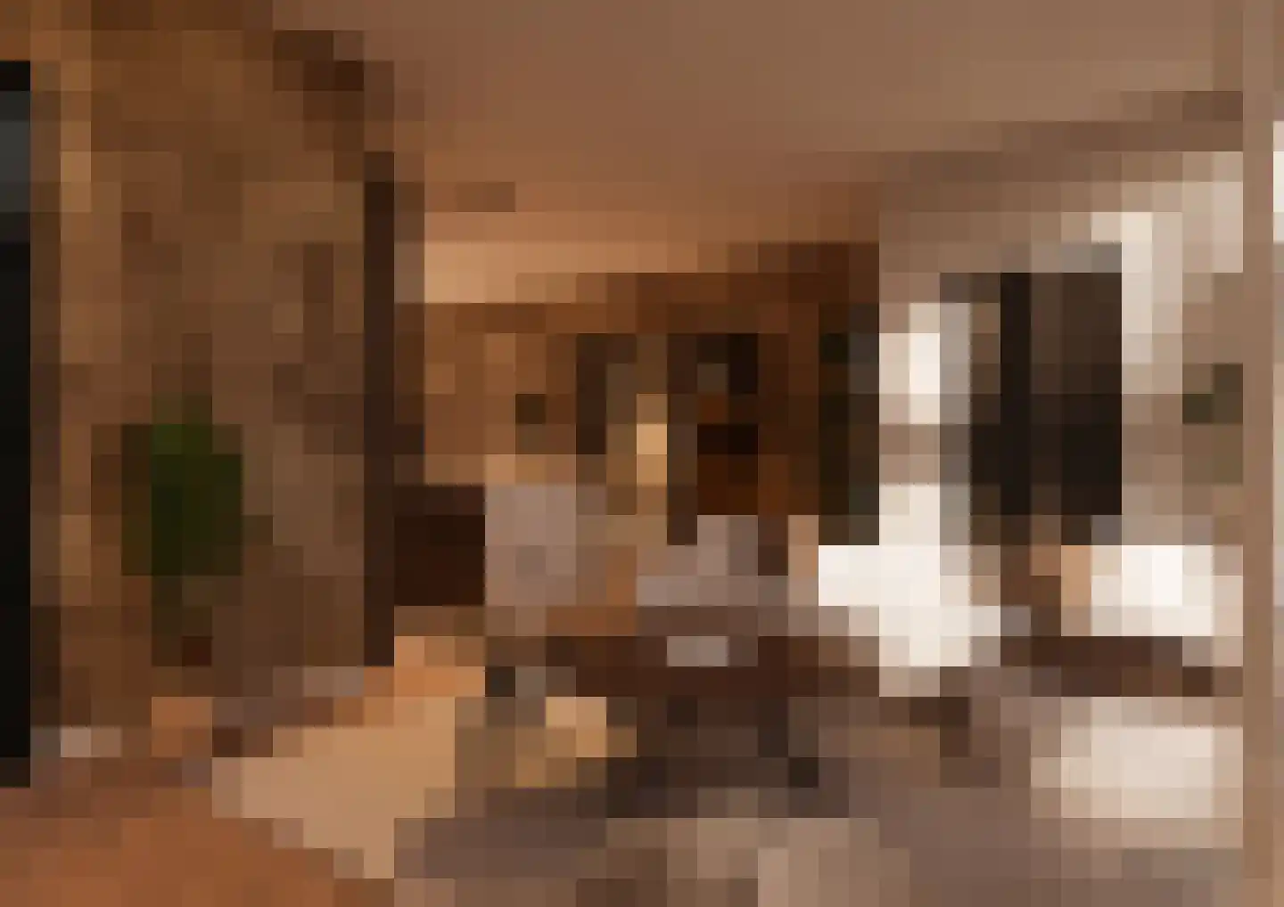 Limes 60 Huissen thumbnail 7