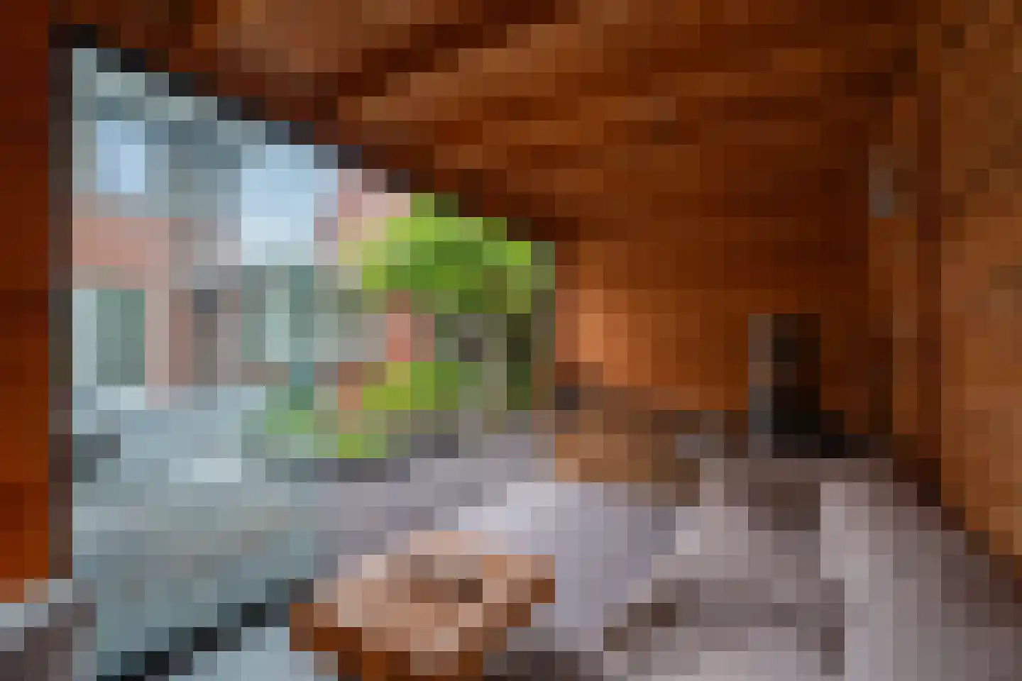 Limes 65 Poortugaal thumbnail 33