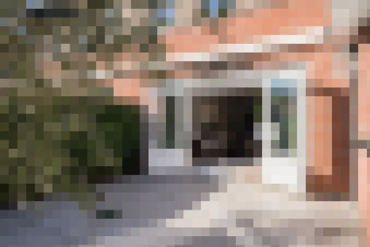 Limes 70 Poortugaal thumbnail 34