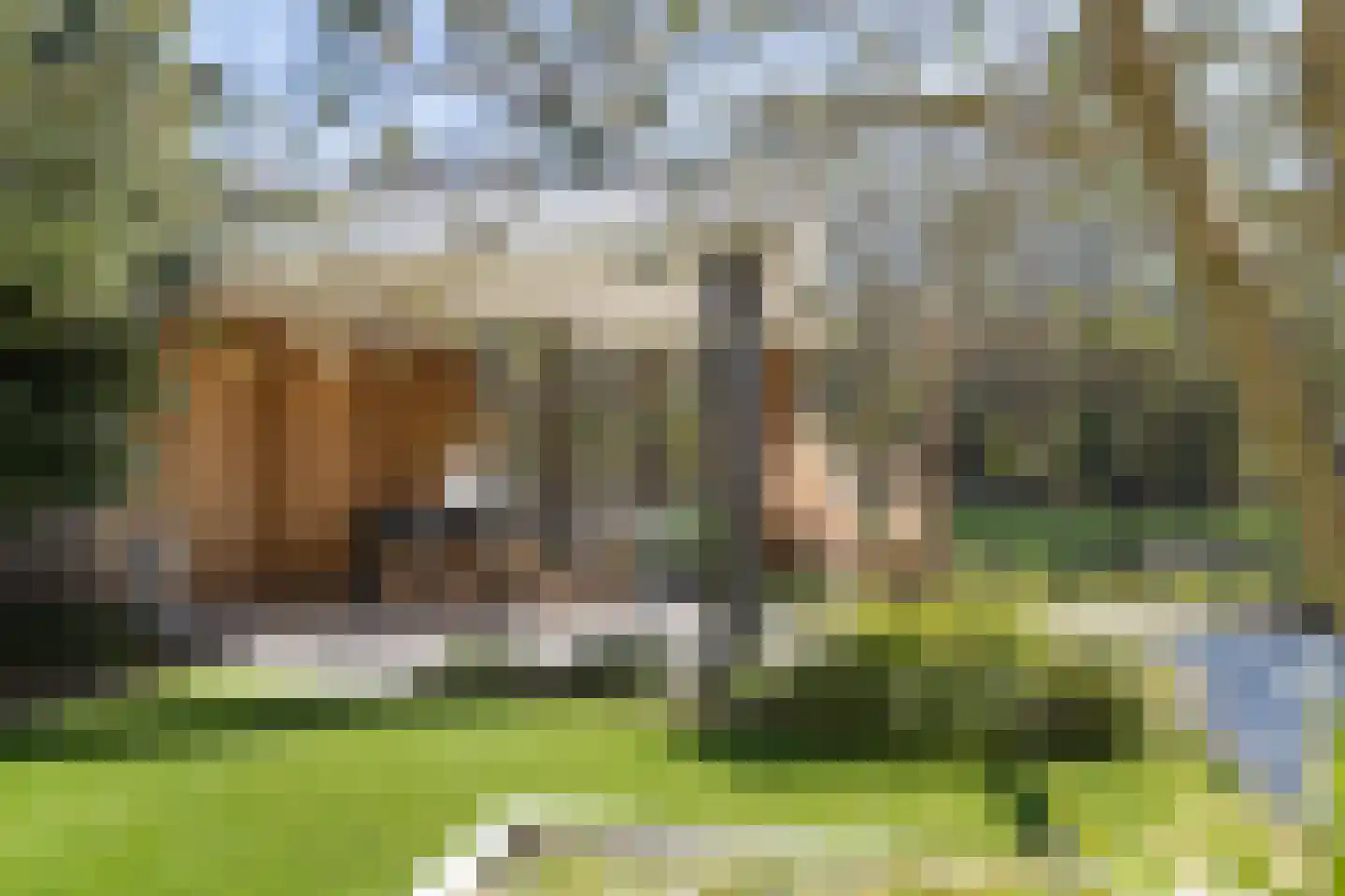 Limes 70 Poortugaal thumbnail 37