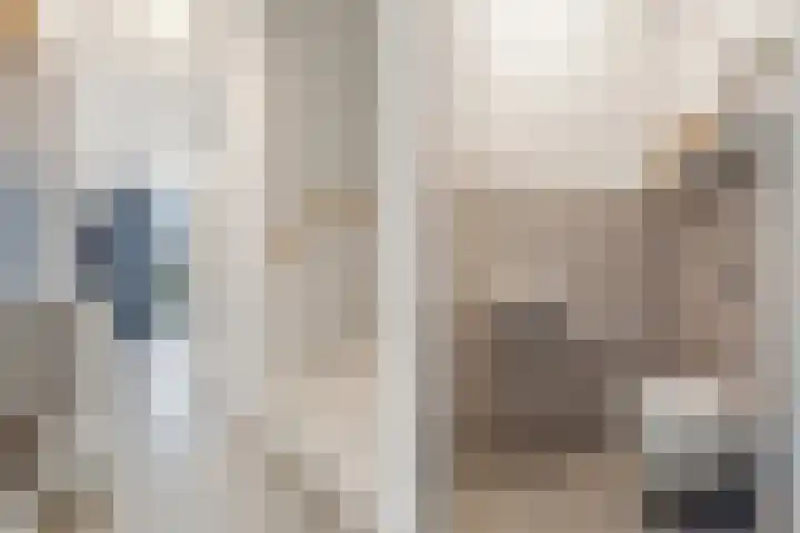 Limes 77 Huissen thumbnail 14