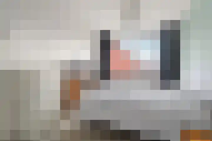 Limes 77 Huissen thumbnail 17