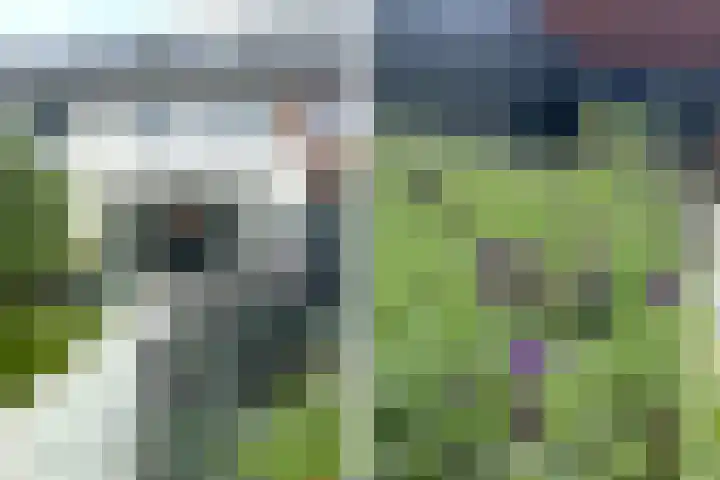 Limes 77 Huissen thumbnail 34