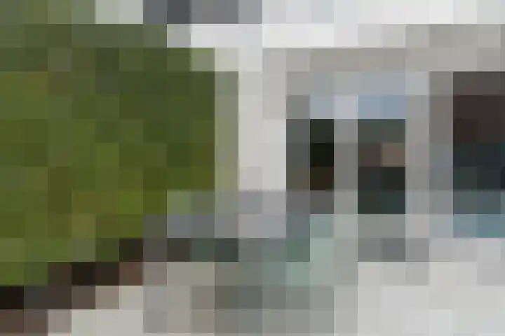 Limes 77 Huissen thumbnail 37