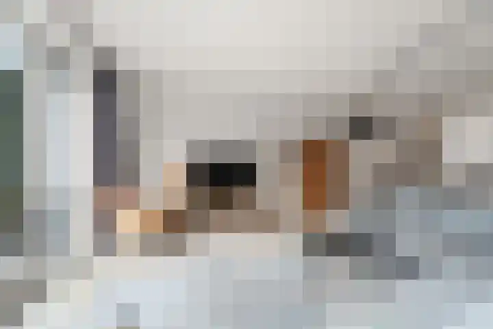 Limes 77 Huissen thumbnail 5