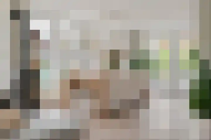 Limesstraat 10 Tiel thumbnail 16