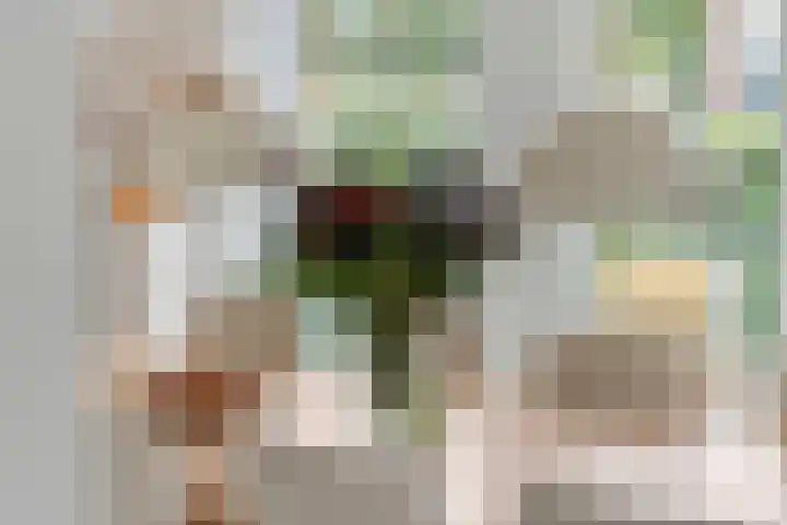Limesstraat 10 Tiel thumbnail 17