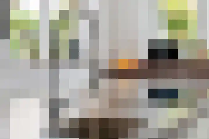 Limesstraat 10 Tiel thumbnail 26