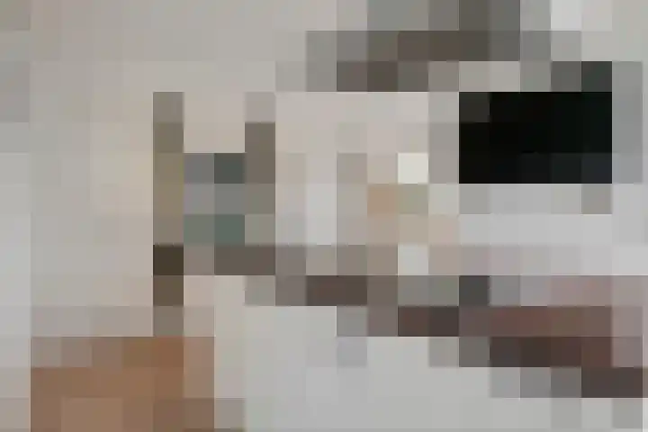 Limesstraat 10 Tiel thumbnail 27