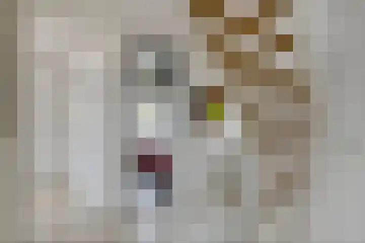 Limesstraat 10 Tiel thumbnail 30