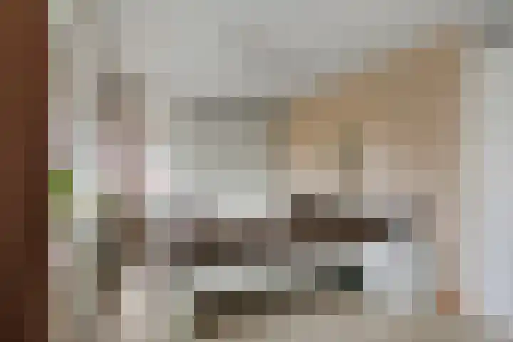 Limesstraat 10 Tiel thumbnail 31