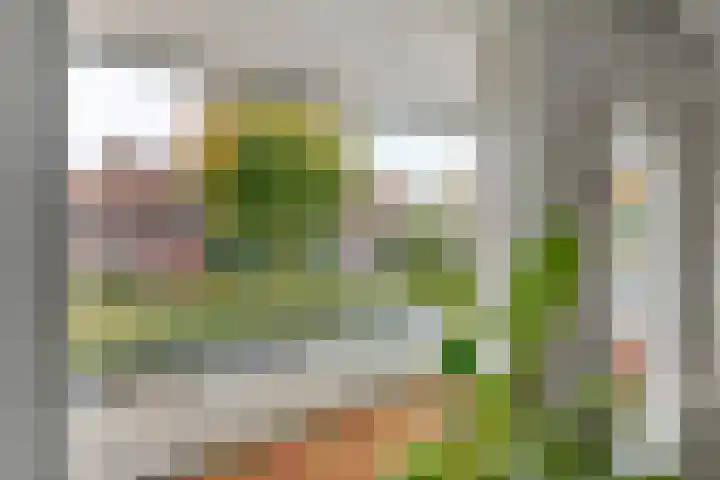 Limesstraat 10 Tiel thumbnail 33