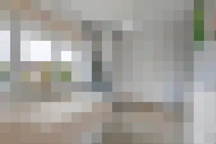 Limesstraat 10 Tiel thumbnail 38