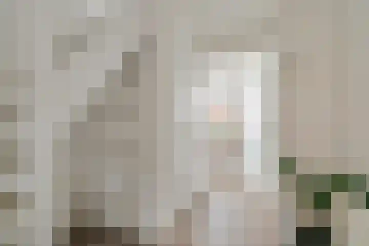 Limesstraat 10 Tiel thumbnail 4