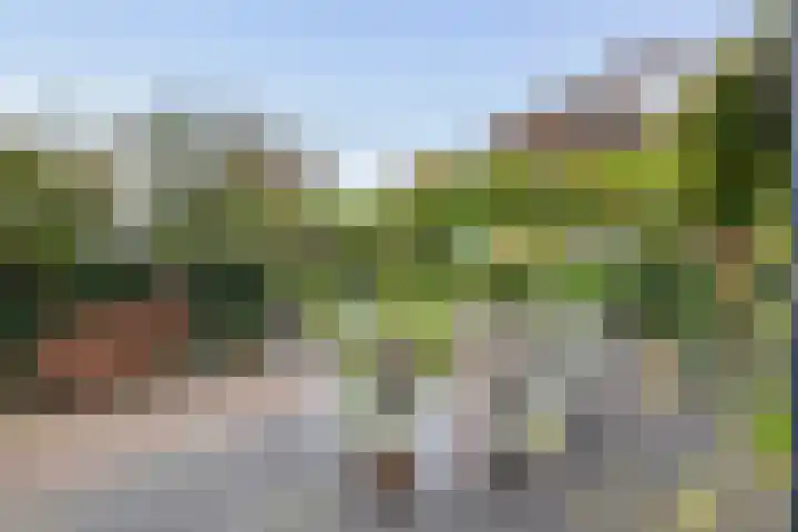 Limesstraat 10 Tiel thumbnail 47