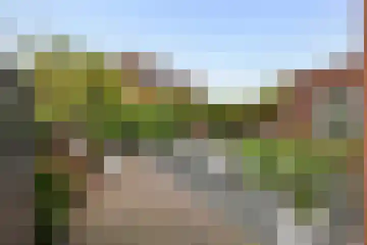Limesstraat 10 Tiel thumbnail 55