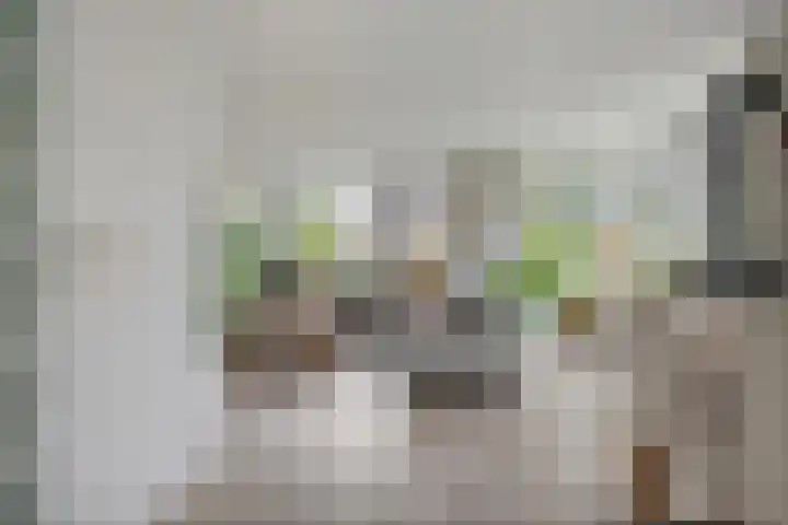 Limesstraat 10 Tiel thumbnail 6