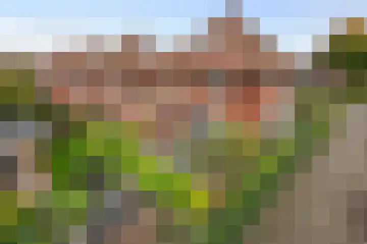 Limesstraat 10 Tiel thumbnail 61