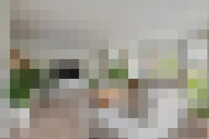 Limesstraat 10 Tiel thumbnail 7