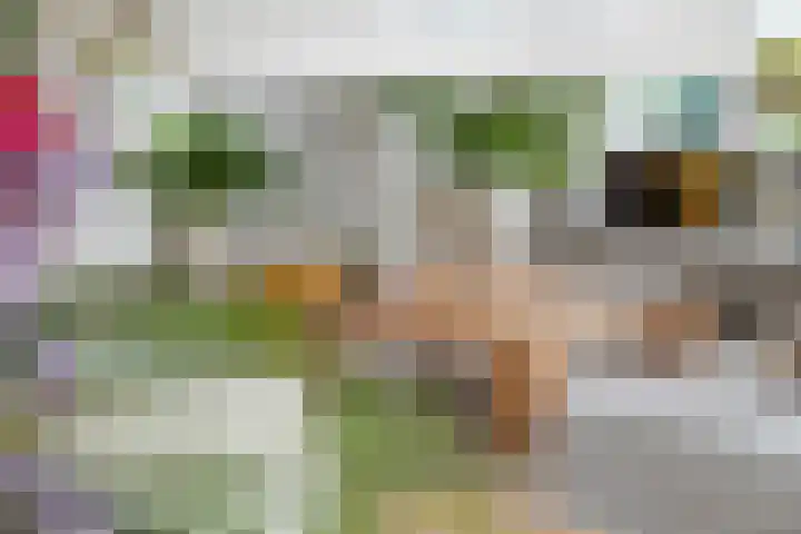 Limesstraat 10 Tiel thumbnail 8