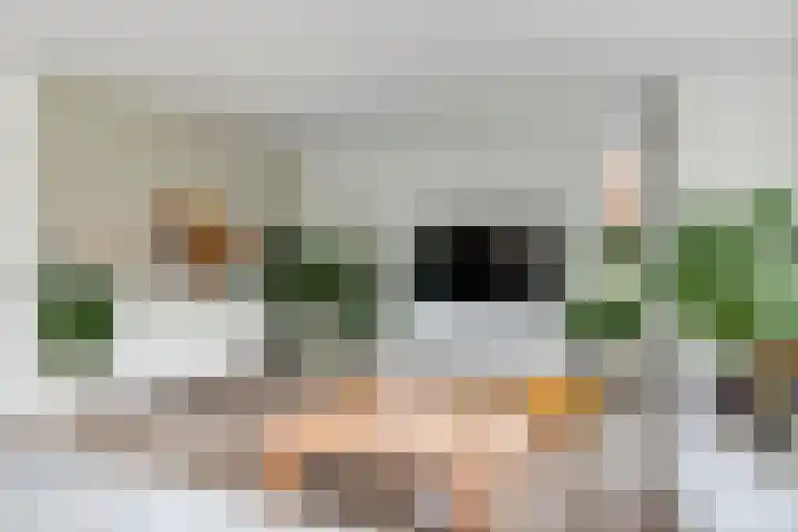Limesstraat 10 Tiel thumbnail 9