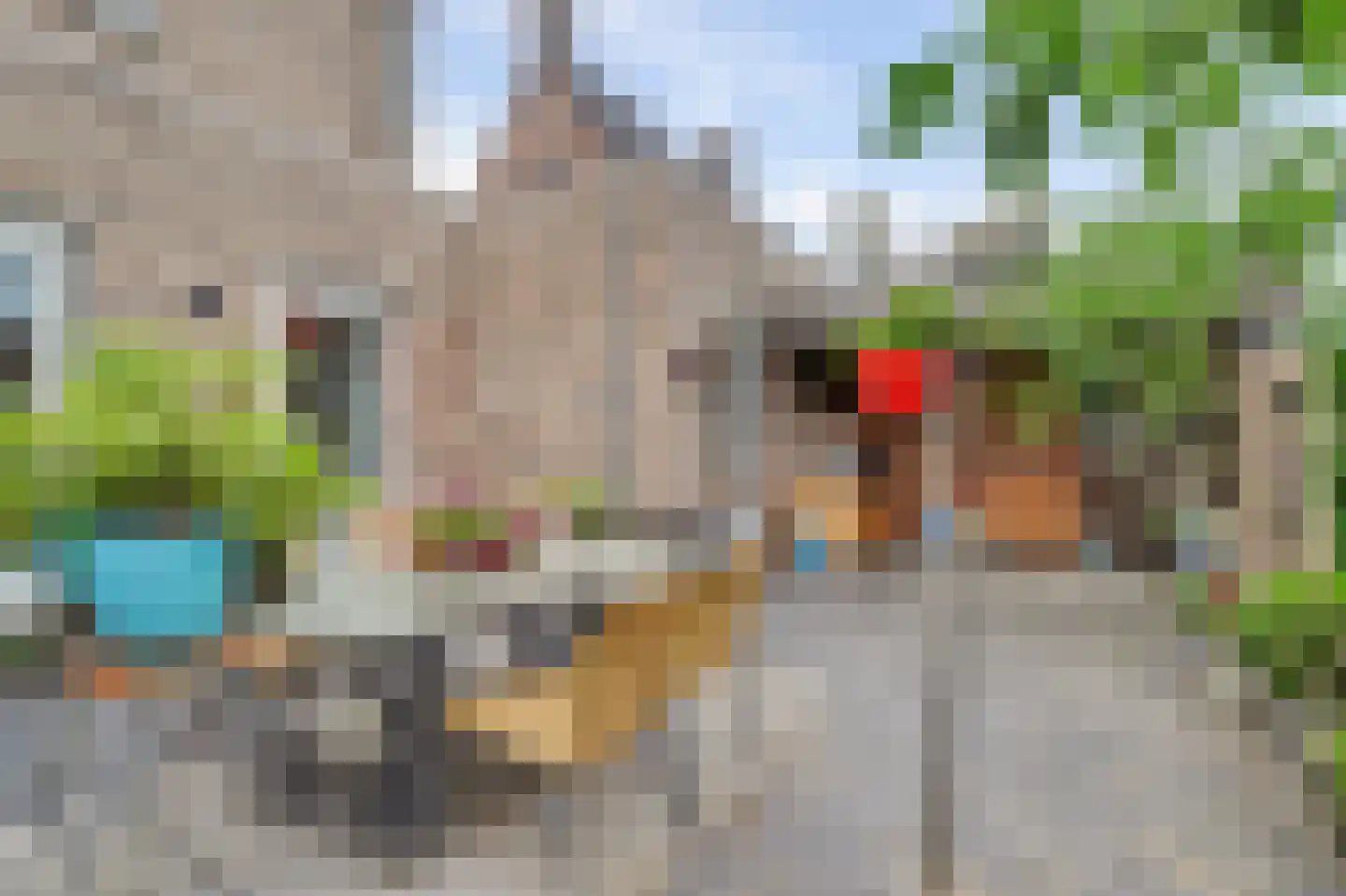 Limfalaan 3 Baarle-Nassau thumbnail 39