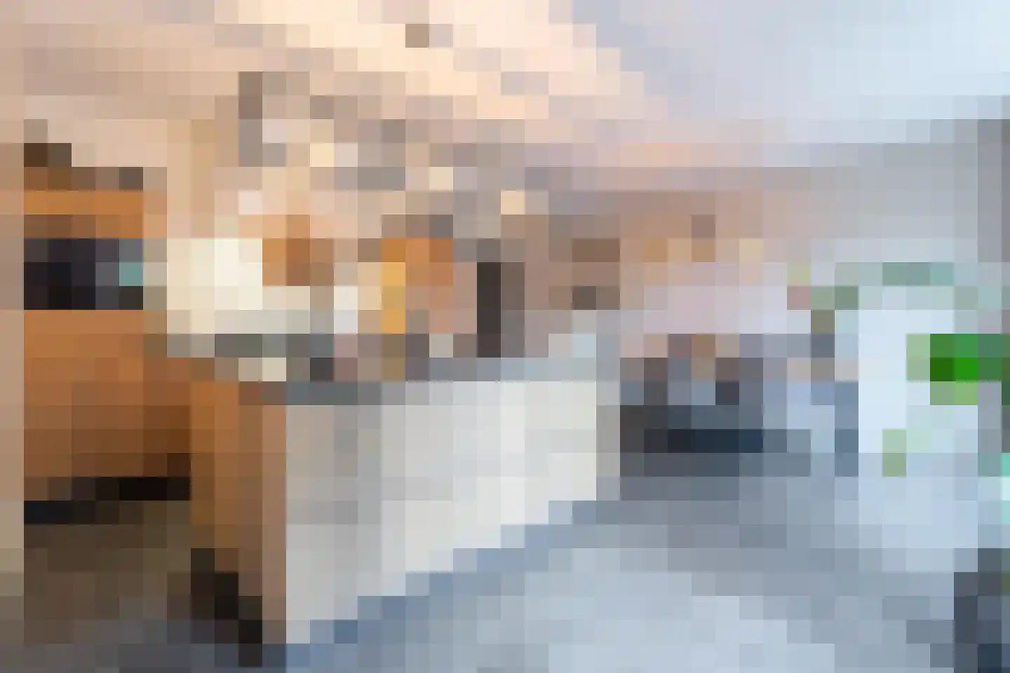 Limfalaan 7 Baarle-Nassau thumbnail 12