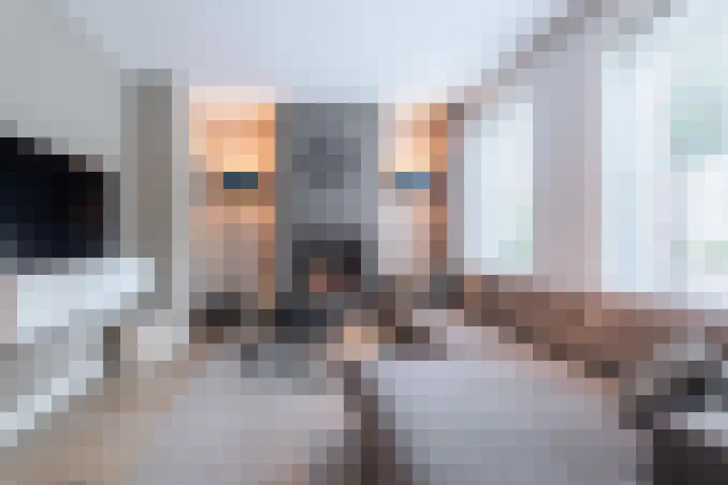 Limfalaan 7 Baarle-Nassau thumbnail 7
