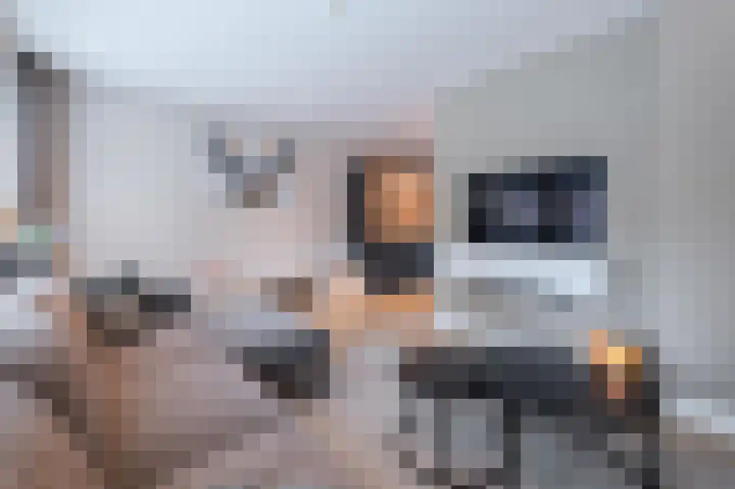 Limfalaan 7 Baarle-Nassau thumbnail 9