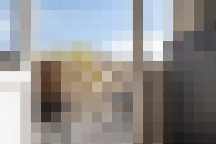 Limietlaan 25 's-Hertogenbosch thumbnail 19