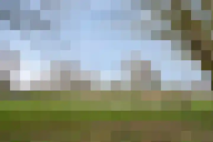 Limietlaan 25 's-Hertogenbosch thumbnail 23