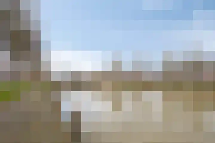 Limietlaan 25 's-Hertogenbosch thumbnail 24
