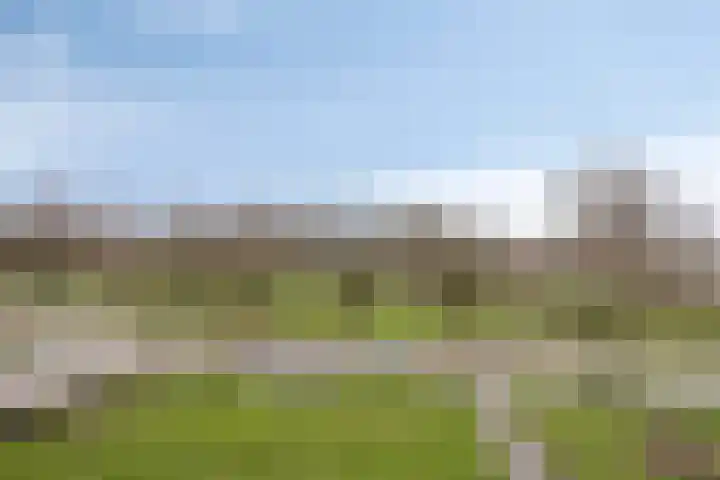 Limietlaan 25 's-Hertogenbosch thumbnail 5