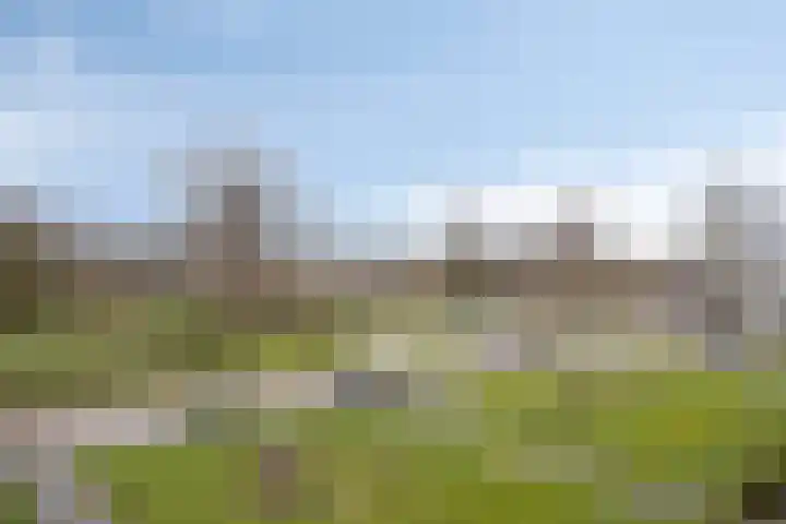 Limietlaan 25 's-Hertogenbosch thumbnail 6