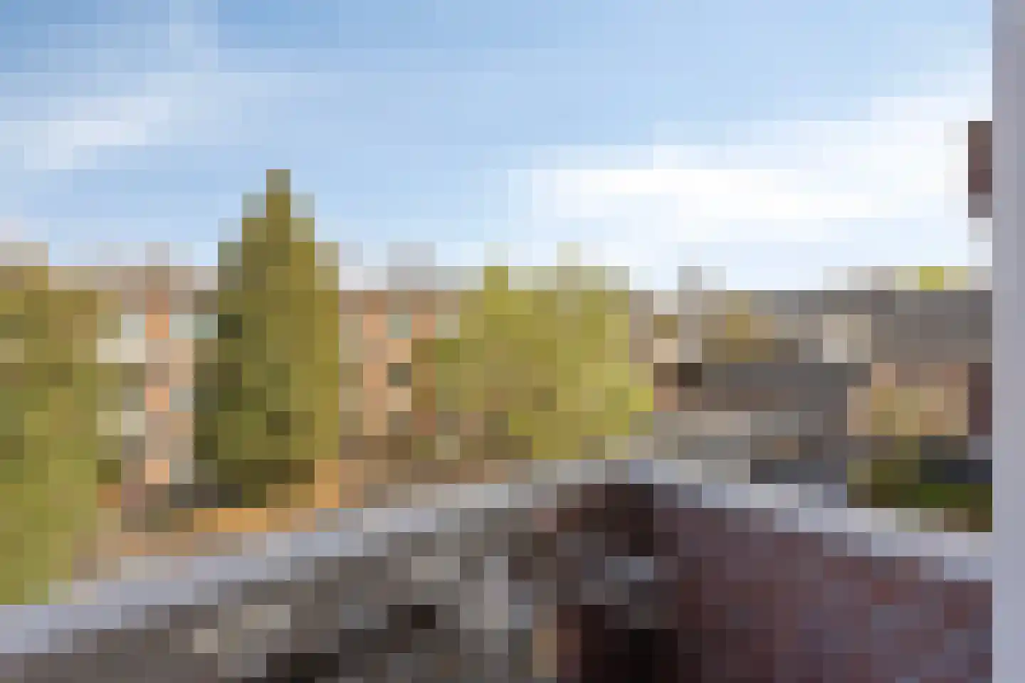 Limietlaan 33 's-Hertogenbosch thumbnail 13