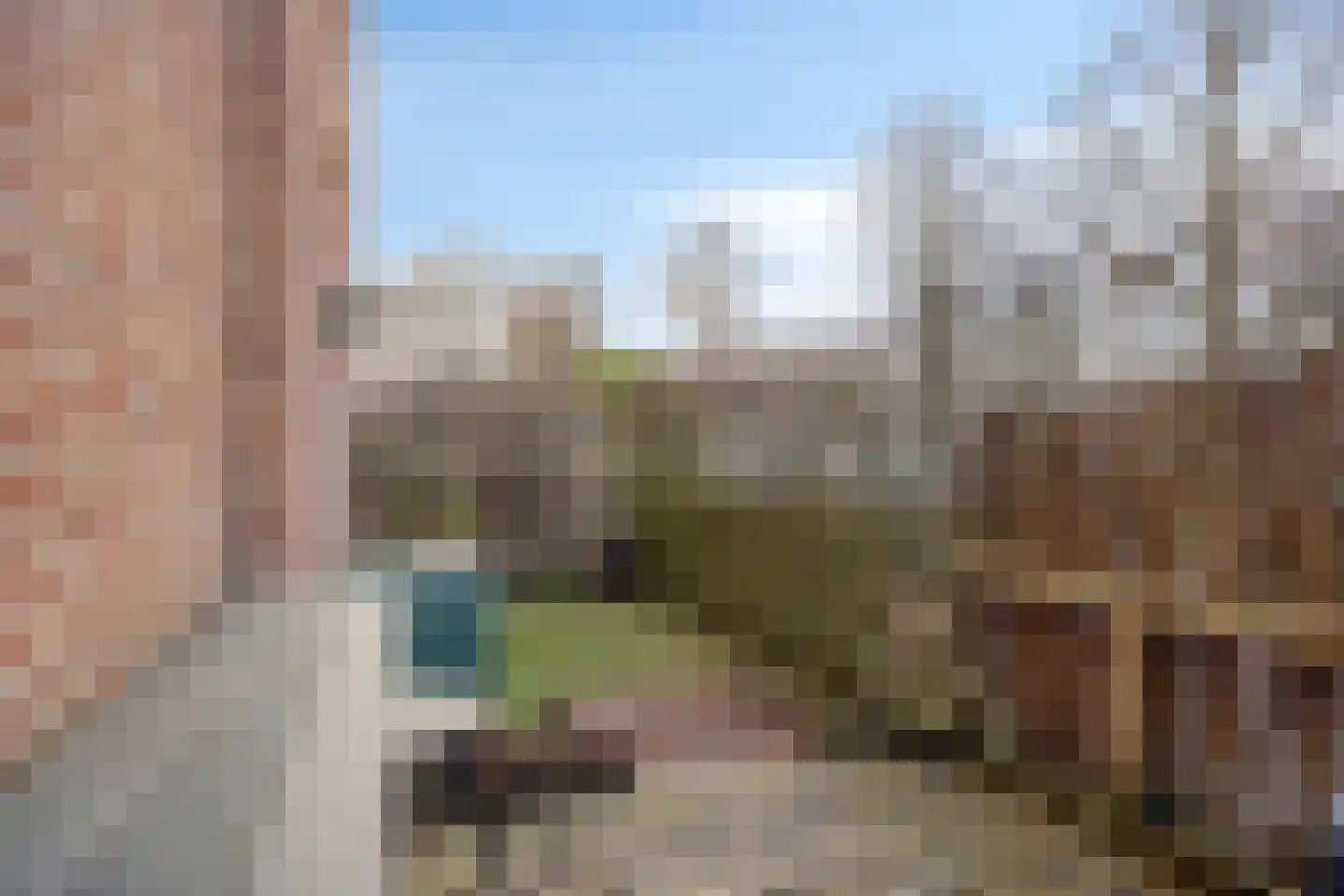 Limietlaan 43 's-Hertogenbosch thumbnail 25