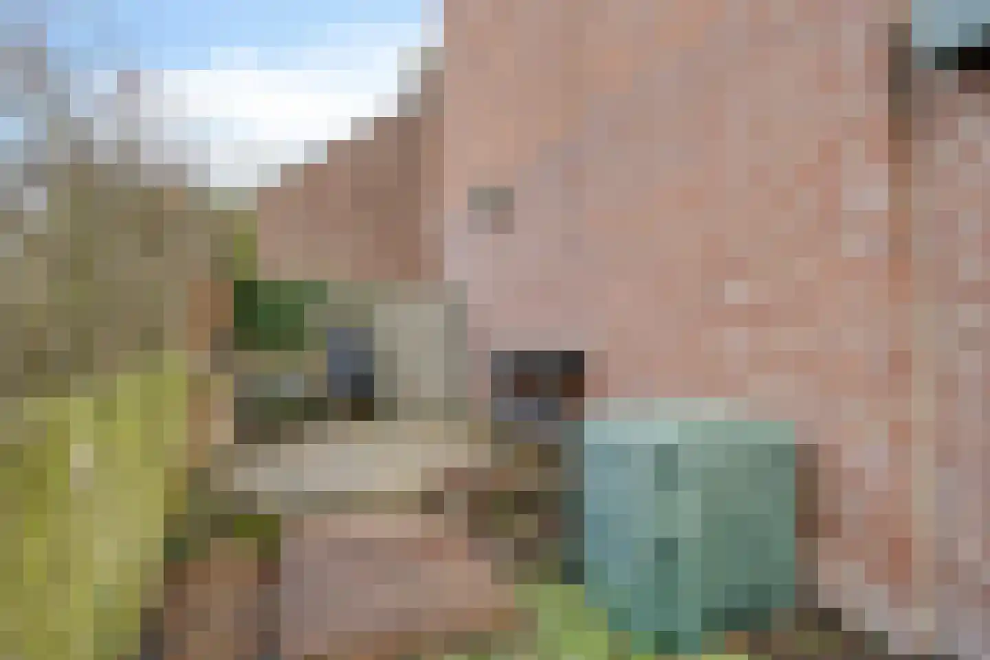 Limietlaan 43 's-Hertogenbosch thumbnail 26