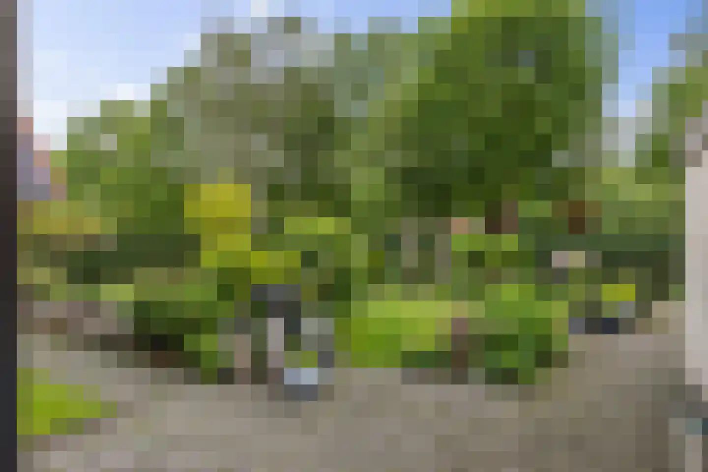 Limietweg 22 Barger-Compascuum thumbnail 12
