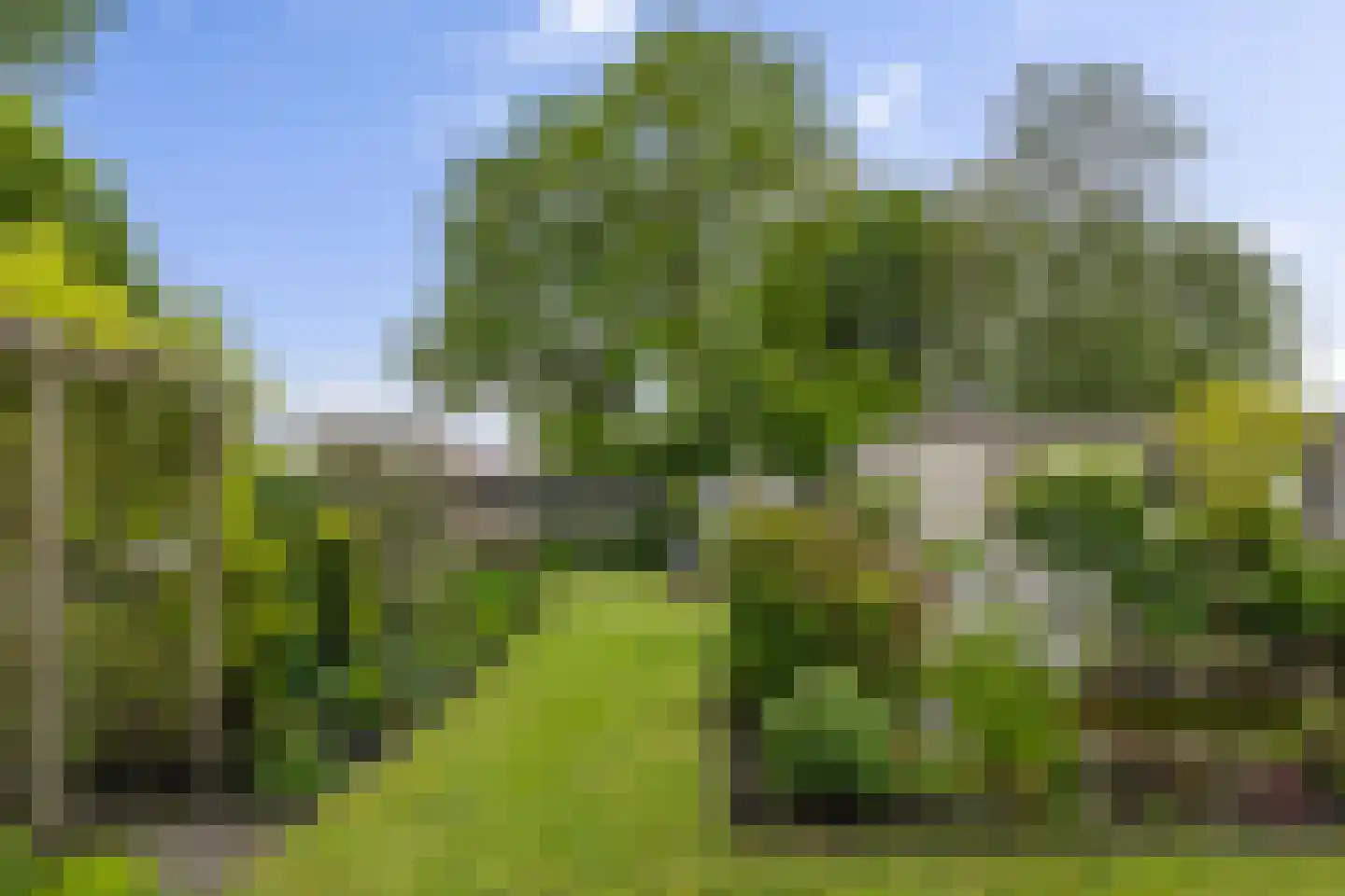 Limietweg 22 Barger-Compascuum thumbnail 14