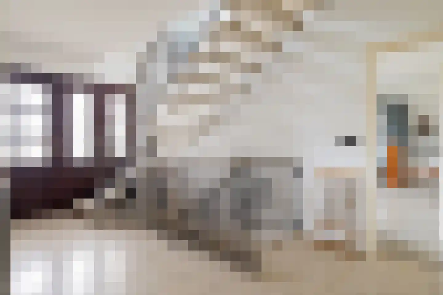 Limietweg 22 Barger-Compascuum thumbnail 17