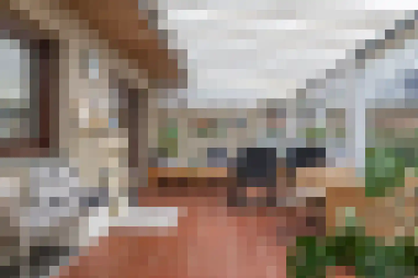 Limietweg 22 Barger-Compascuum thumbnail 30