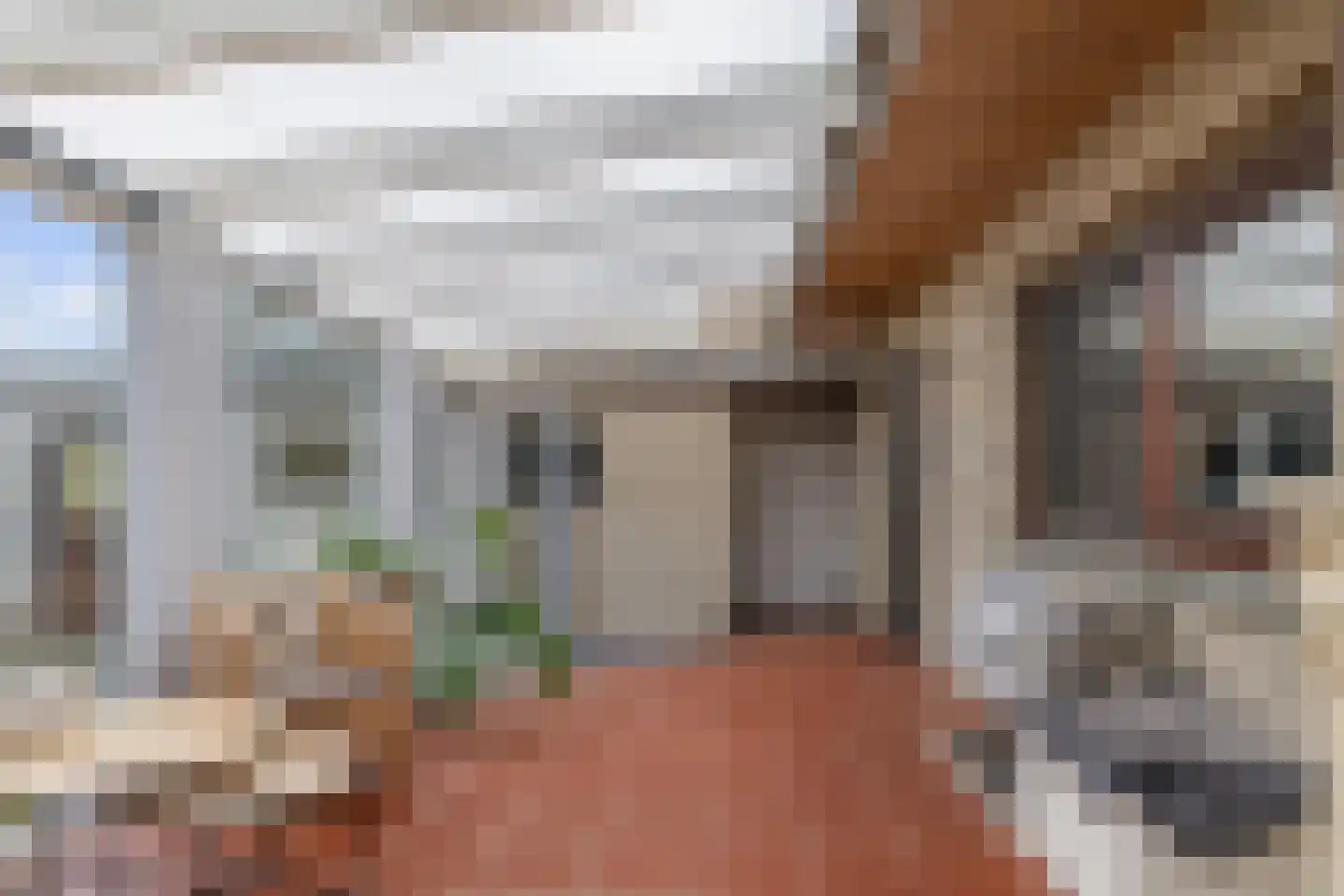 Limietweg 22 Barger-Compascuum thumbnail 32