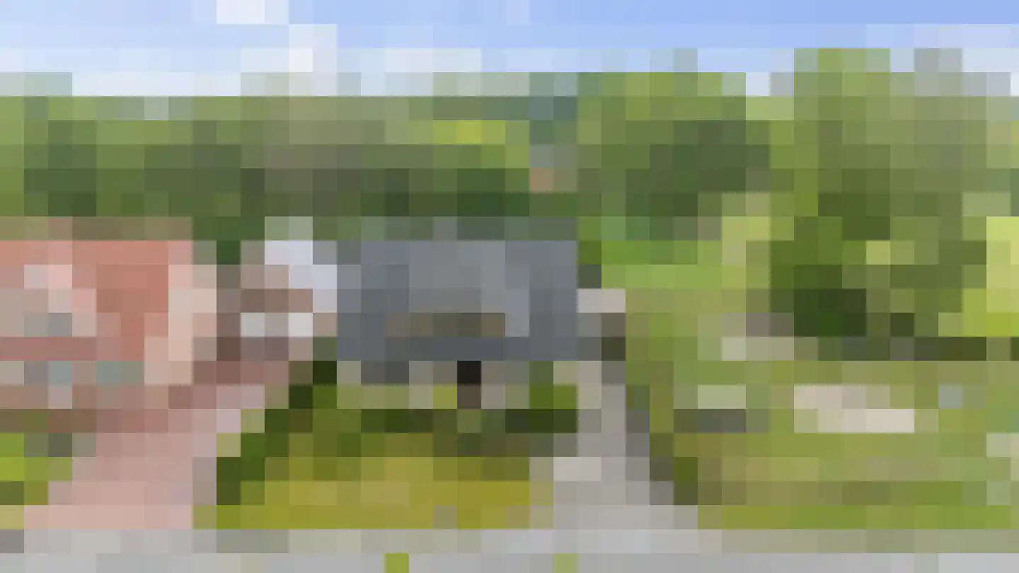 Limietweg 22 Barger-Compascuum thumbnail 6