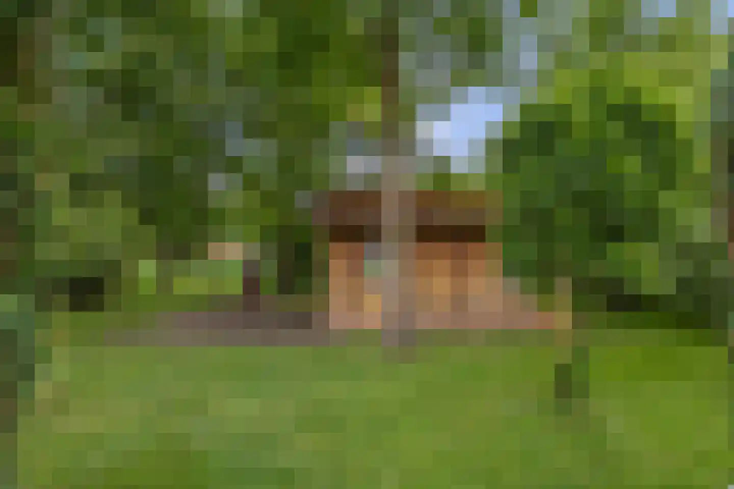 Limietweg 22 Barger-Compascuum thumbnail 62