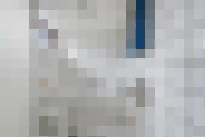 Limietweg 47 Barger-Compascuum thumbnail 23