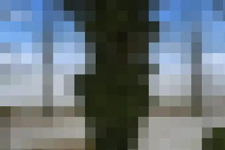 Limietweg 47 Barger-Compascuum thumbnail 33