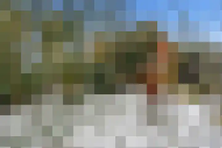 Limietweg 47 Barger-Compascuum thumbnail 37