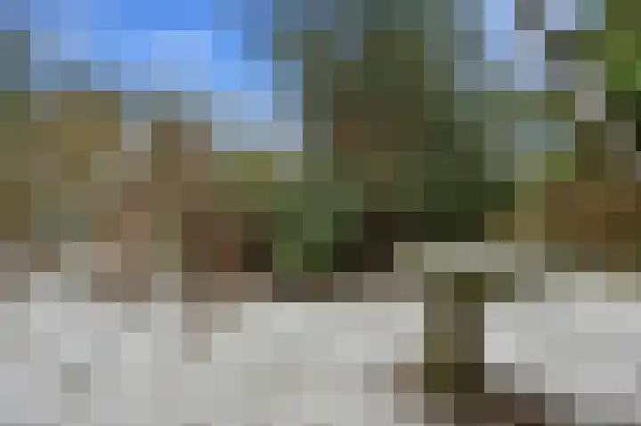 Limietweg 47 Barger-Compascuum thumbnail 38
