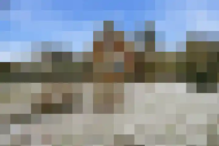 Limietweg 47 Barger-Compascuum thumbnail 4